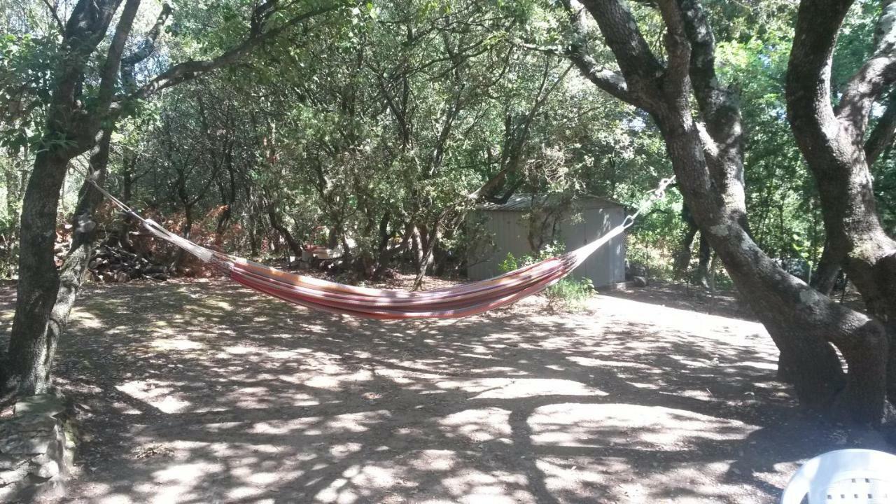 La Casita Villa Avec Piscine Pres D'Uzes Saint-Laurent-la-Vernède Екстериор снимка